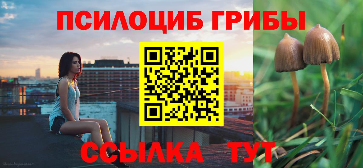 купить  цена  Галлюциногенные грибы Psilocybine cubensis  Псилоцибиновые грибы Magic Shrooms  Вход с VPN  Черняховск 